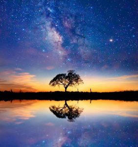 植树节，ESD圈带你走进森林-爱上低电量 - 静电防护(ESD)圈-记录工厂ESD&环境知识点学习分享