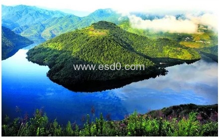 图片[7]-植树节，ESD圈带你走进森林-静电防护(ESD)圈-记录个人ESD&环境知识点学习分享